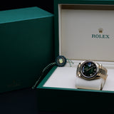 Rolex Day-Date 228238 40MM Green Ombre Dial Full Set WARRANTY